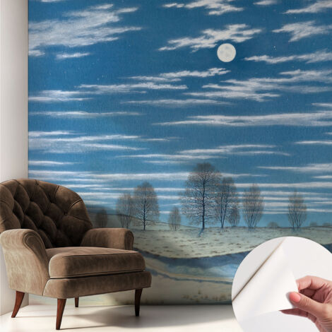 Selbstklebend Tapete - abwaschbar - Raumgestaltung  Schlafzimmer Wohnzimmer Tapete Winterlandschaft 250x250 cm