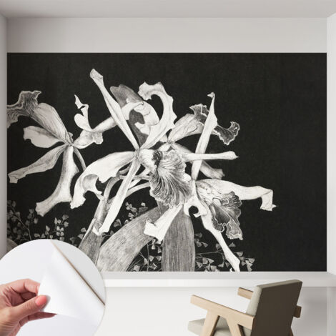 Selbstklebend Tapete modern - Wanddeko für Küche - Klebefolie Wand - luxus Look Orchideenillustration 152x104 cm