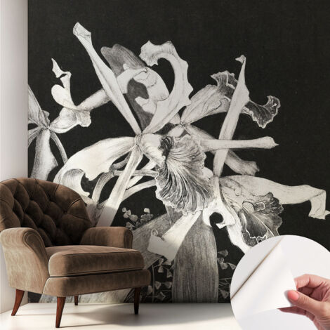 Selbstklebend Tapete modern - Wanddeko für Küche - Klebefolie Wand - luxus Look Orchideenillustration 250x250 cm