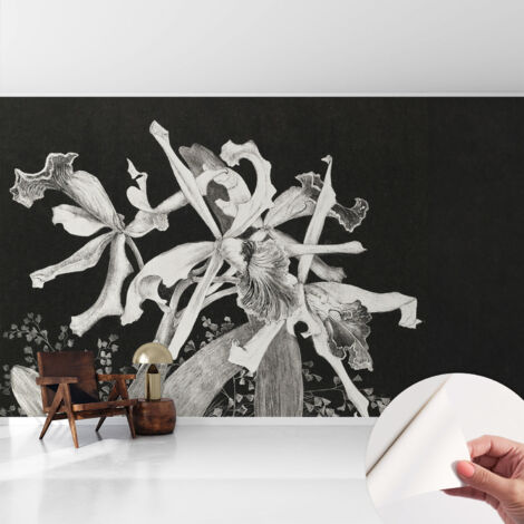 Selbstklebend Tapete modern - Wanddeko für Küche - Klebefolie Wand - luxus Look Orchideenillustration 416x254 cm