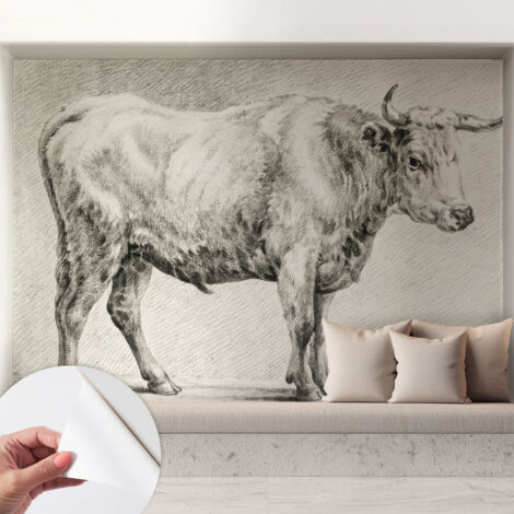 Selbstklebend Tapete modern - Wanddeko für Küche - Klebefolie Wand - luxus Look Stier-Bleistift 208x146 cm