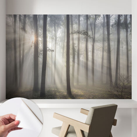 Selbstklebend Tapete modern Wohnzimmer - Wanddekoration - einfach anzubringen Ätherischer Wald 104x70 cm