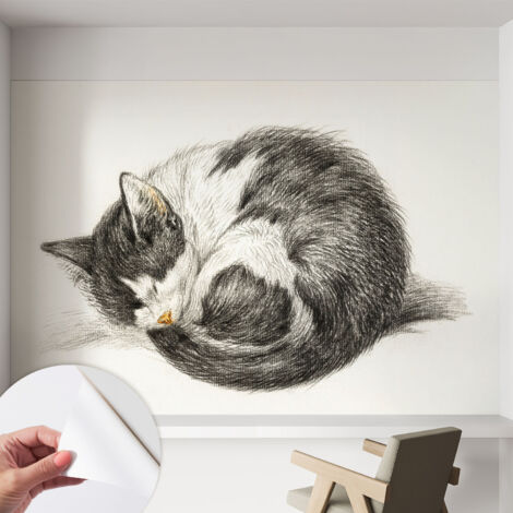 Selbstklebend Tapete modern Wohnzimmer - Wanddekoration - einfach anzubringen Entzückendes Kätzchen 152x104 cm