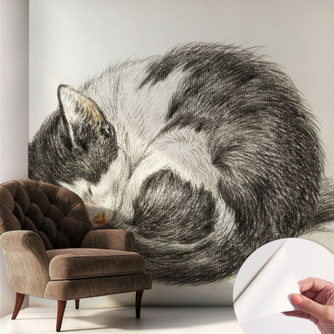 Selbstklebend Tapete modern Wohnzimmer - Wanddekoration - einfach anzubringen Entzückendes Kätzchen 250x250 cm