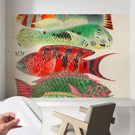 Selbstklebend Tapete modern Wohnzimmer - Wanddekoration - einfach anzubringen Exotische Fische 104x70 cm