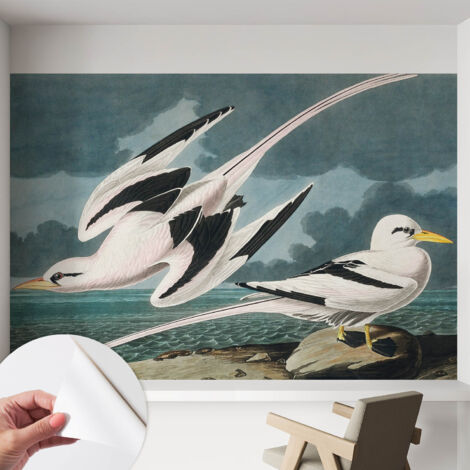 Selbstklebend Tapete modern Wohnzimmer - Wanddekoration - einfach anzubringen Vögel am Meer 152x104 cm