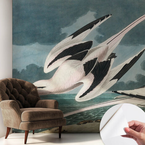 Selbstklebend Tapete modern Wohnzimmer - Wanddekoration - einfach anzubringen Vögel am Meer 250x250 cm