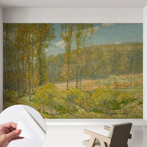Selbstklebend Tapete modern Wohnzimmer - Wanddekoration - einfach anzubringen Waldlandschaft 152x104 cm