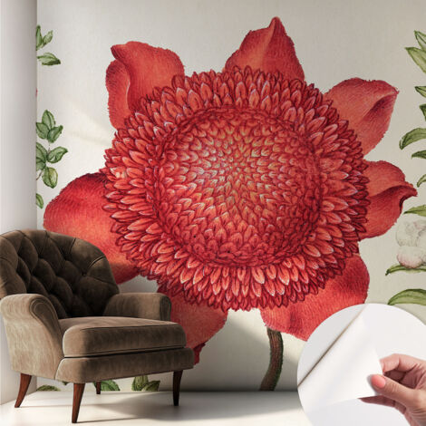 Selbstklebend Tapete - Wandgestaltung - Tapete Wohnzimmer - Flur Eingangsbereich Blumeneleganz 250x250 cm
