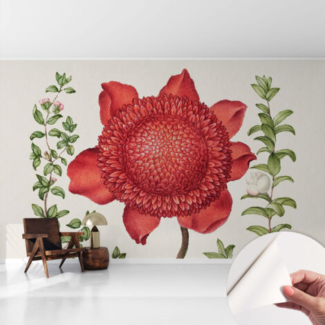 Selbstklebend Tapete - Wandgestaltung - Tapete Wohnzimmer - Flur Eingangsbereich Blumeneleganz 416x254 cm