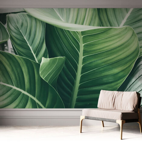 Selbstklebend Tapete - Wandgestaltung - Tapete Wohnzimmer - Flur Eingangsbereich Grüne Ruhe 312x219 cm