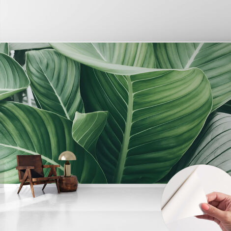 Selbstklebend Tapete - Wandgestaltung - Tapete Wohnzimmer - Flur Eingangsbereich Grüne Ruhe 416x254 cm