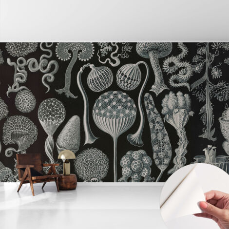 Selbstklebend Tapete - Wandgestaltung - Tapete Wohnzimmer - Flur Eingangsbereich Magische Pflanzen 416x254 cm