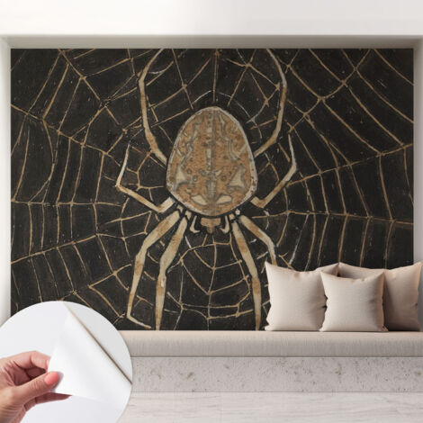 Selbstklebend Tapete - Wandgestaltung - Tapete Wohnzimmer - Flur Eingangsbereich Spinnennetz 208x146 cm