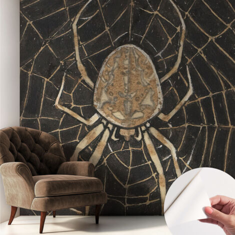 Selbstklebend Tapete - Wandgestaltung - Tapete Wohnzimmer - Flur Eingangsbereich Spinnennetz 250x250 cm