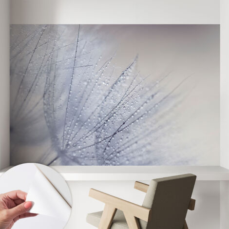 Selbstklebende Tapete modern Wohnzimmer - Wanddeko Schlafzimmer - Tapete mit Motiv Bespritzter Löwenzahn 104x70 cm