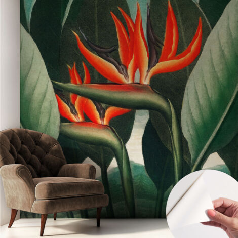 Selbstklebende Tapete modern Wohnzimmer - Wanddeko Schlafzimmer - Tapete mit Motiv Exotische Blumen 250x250 cm