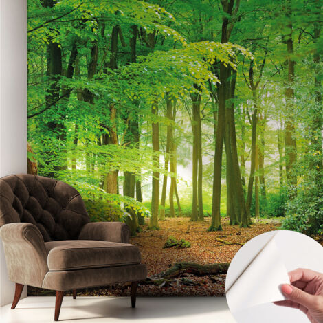 Selbstklebende Tapete modern Wohnzimmer - Wanddeko Schlafzimmer - Tapete mit Motiv Grüner Wald 250x250 cm