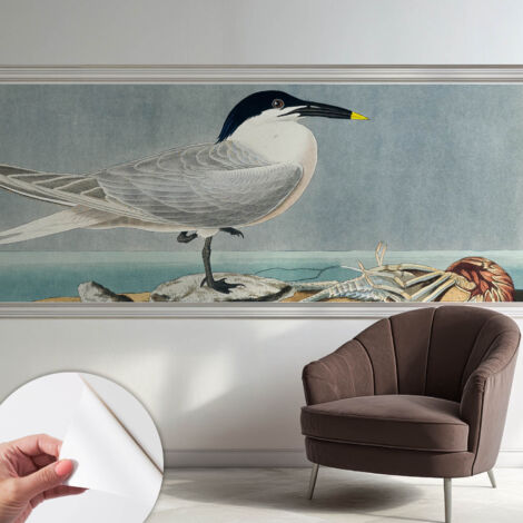 Selbstklebende Tapete modern Wohnzimmer - Wanddeko Schlafzimmer - Tapete mit Motiv Ornithologische Eleganz 250x104 cm