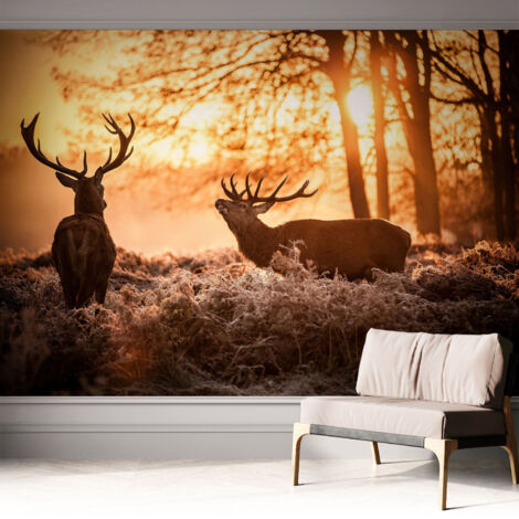 Selbstklebende Tapete modern Wohnzimmer - Wanddeko Schlafzimmer - Tapete mit Motiv Rehe am Morgen 312x219 cm