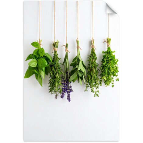 Selbstklebendes Poster – Wandsticker Kräuter Gewürze 60x90 cm