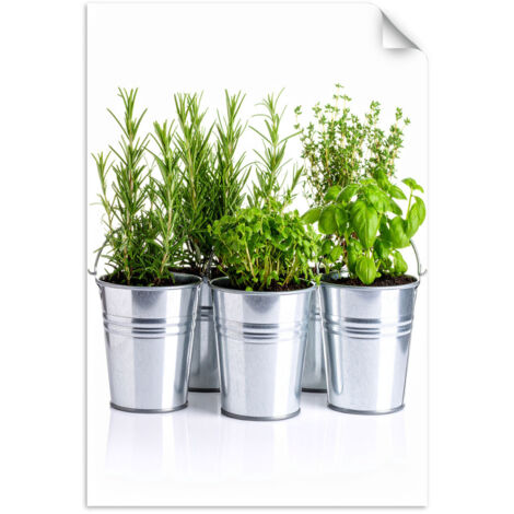 Selbstklebendes Poster – Wandsticker Kräuter Gewürze 70x100 cm