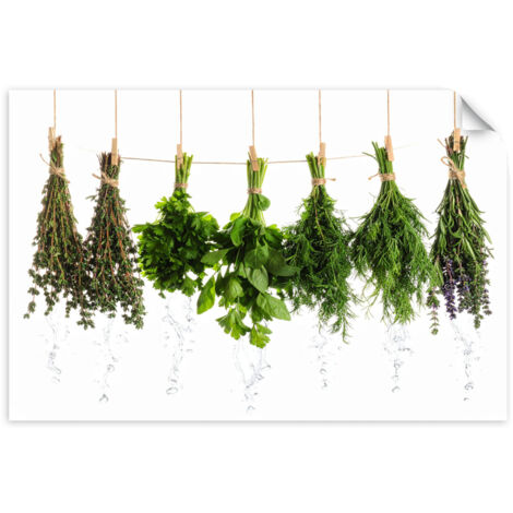 Selbstklebendes Poster – Wandsticker Kräuter Gewürze Pflanzen 30x20 cm