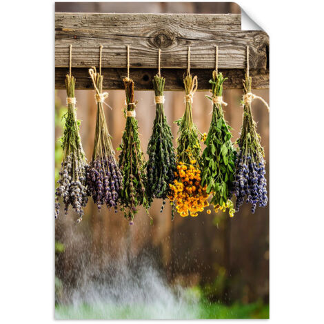 Selbstklebendes Poster – Wandsticker Kräuter Gewürze Pflanzen 60x90 cm