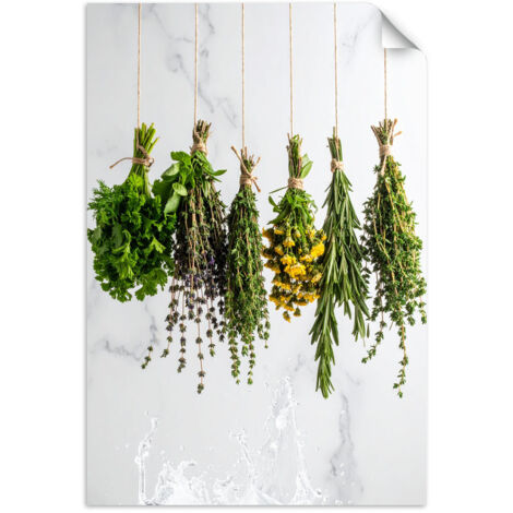 Selbstklebendes Poster – Wandsticker Kräuter Gewürze Pflanzen 60x90 cm