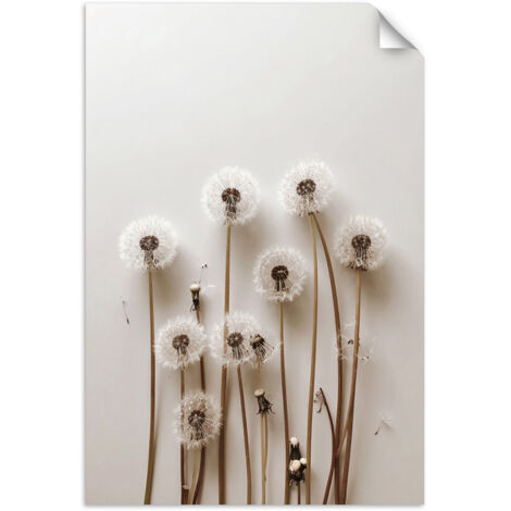 Selbstklebendes Poster – Wandsticker Löwenzahn Pflanzen Natur Boho 20x30 cm