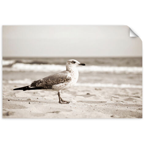 Selbstklebendes Poster – Wandsticker Möwe Vogel Meer Strand Natur 60x40 cm