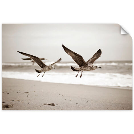 Selbstklebendes Poster – Wandsticker Möwen Vögel Meer Strand beige 90x60 cm