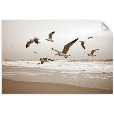 Selbstklebendes Poster – Wandsticker Möwen Vögel Meer Strand Natur 60x40 cm