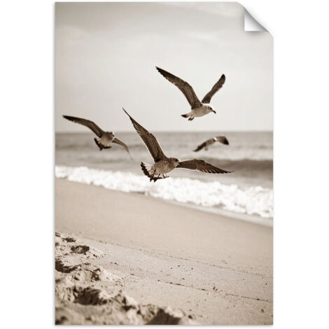 Selbstklebendes Poster – Wandsticker Möwen Vögel Meer Strand Natur 60x90 cm
