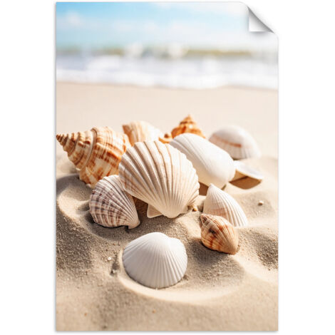 Selbstklebendes Poster – Wandsticker Muscheln Strand Natur beige 60x90 cm