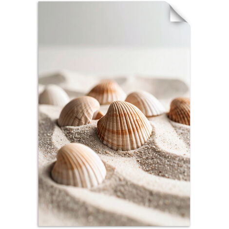 Selbstklebendes Poster – Wandsticker Muscheln Strand Natur Boho 70x100 cm