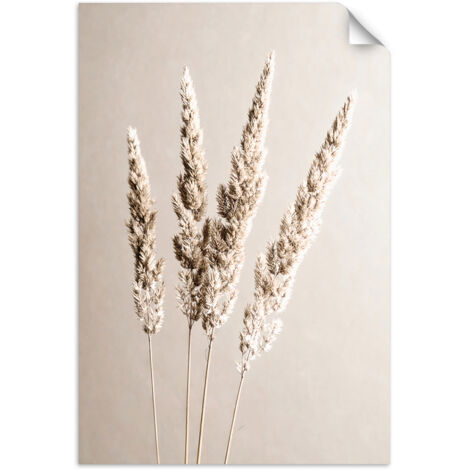 Selbstklebendes Poster – Wandsticker Pampasgras Pflanzen beige 20x30 cm