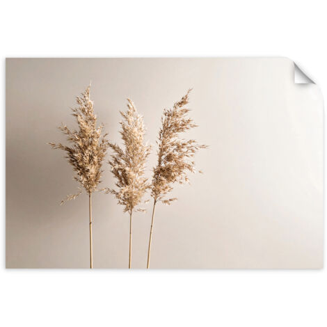 Selbstklebendes Poster – Wandsticker Pampasgraspflanzen Natur Beige 120x80 cm