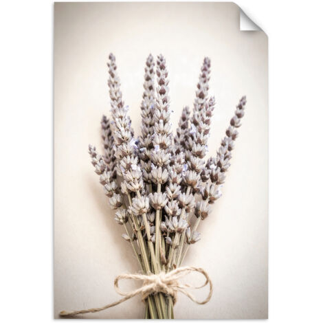 Selbstklebendes Poster – Wandsticker @Pflanzen Natur Boho 60x90 cm