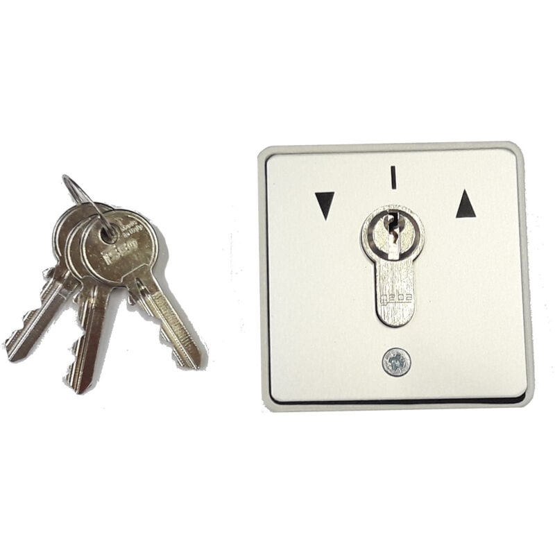 Came - Sélecteur à clé 1-2T diff 10A 001FR0879