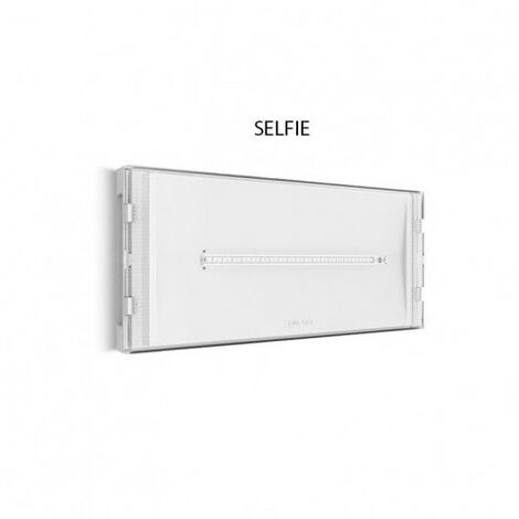 Lampada Emergenza Parete, Selfie, 160 Lumen, IP42, 2H autonomia - LINERGY  SI11N20EBR - Fazio SRL