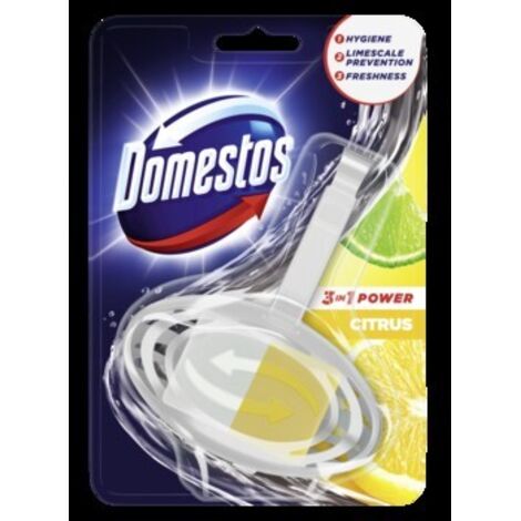 Selgros111 Domestos 3in1 Citrus - Toilettenblock mit Korb