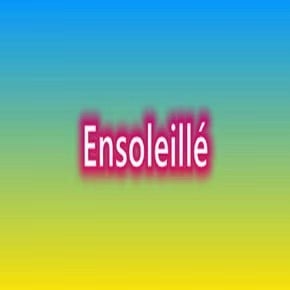 Logo du vendeur