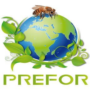 Logo du vendeur