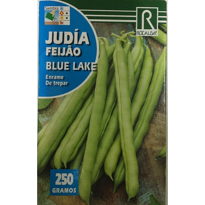 

SEM. JUDIA BLUE LAKE 250 GR - Rocalba