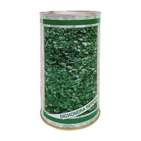 SEME PRATO DICHONDRA REPENS BOTTOS GR 500