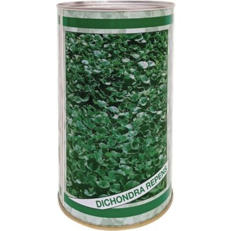 SEME PRATO DICHONDRA REPENS - GR 500 - 2 pezzi