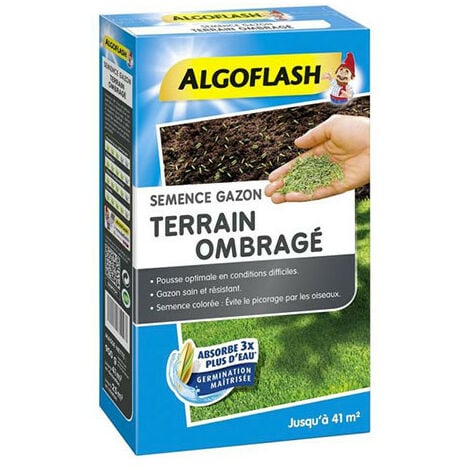 Semence gazon terrain ombragé 900 g