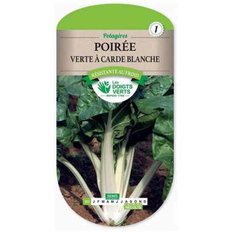 Semence Poirée Verte à Carde Blanche