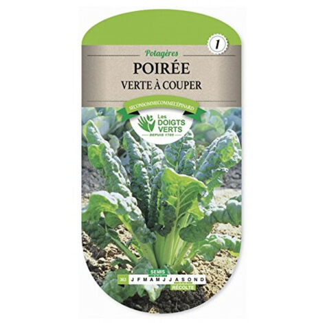 Semence Poirée Verte à Couper